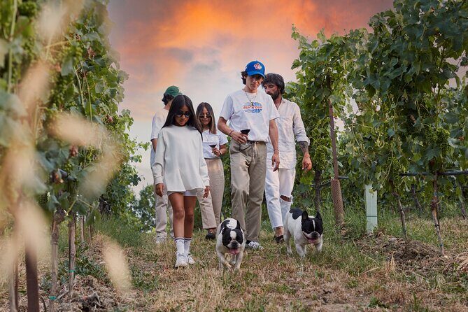 Wine Tour and Tasting of Lugana Wines in Desenzano - Detailed Breakdown of the Itinerary
