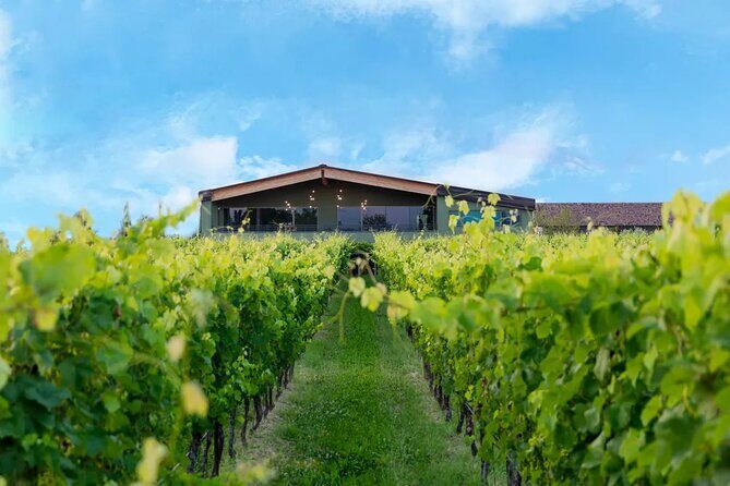 Wine Tour and Tasting of Lugana Wines in Desenzano - Final Thoughts: Is It Worth It?