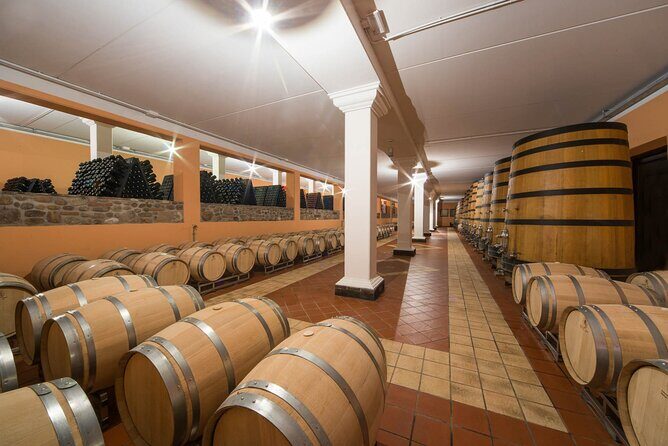 Wine Tour and Tasting on Garda Hills - Final Thoughts