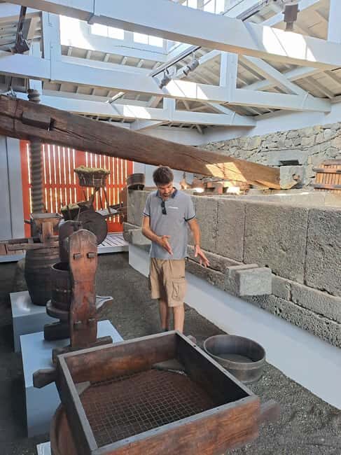 Wine Tour and Tasting with a local Winemaker at Pico Island - Deep Dive into the Pico Wine Experience