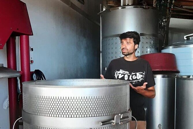 Wine tour and Tasting with a local Winemaker at Pico Island - A Closer Look at the Pico Wine Tour Experience
