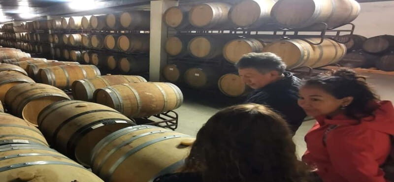 Wine Tour and traditional Portuguese tiles in Half Day Tour - Practical Details and Value