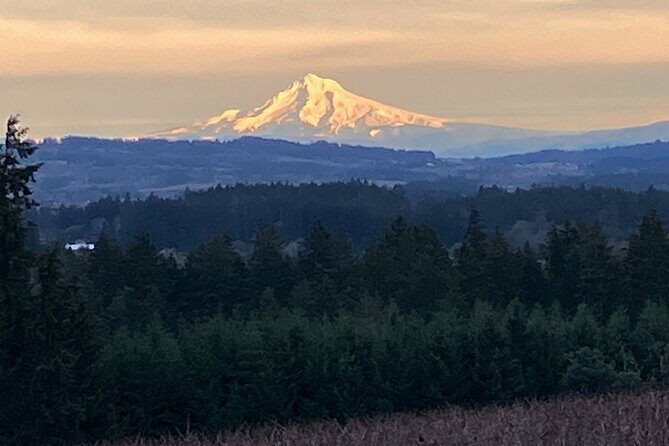 Wine Tour at Ardiri Winery Private Walking Experience - Exploring the Ardiri Winery Private Walking Tour in Depth