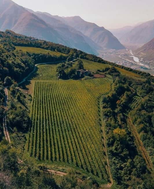 Wine tour at Borgo dei Posseri: wine, nature, and authenticity - In-Depth Review of the Borgo dei Posseri Wine Experience