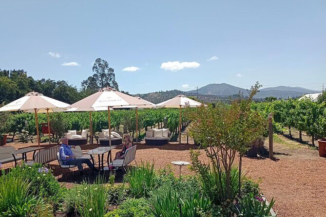 Wine Tour Casas del Bosque+Bodegas RE Vineyards Casablanca Valley - A Deep Dive into the Casablanca Valley Wine Tour