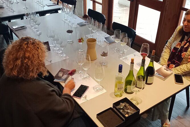 Wine Tour Casas del Bosque+Bodegas RE Vineyards Casablanca Valley - Final Thoughts: Is This Tour Worth It?