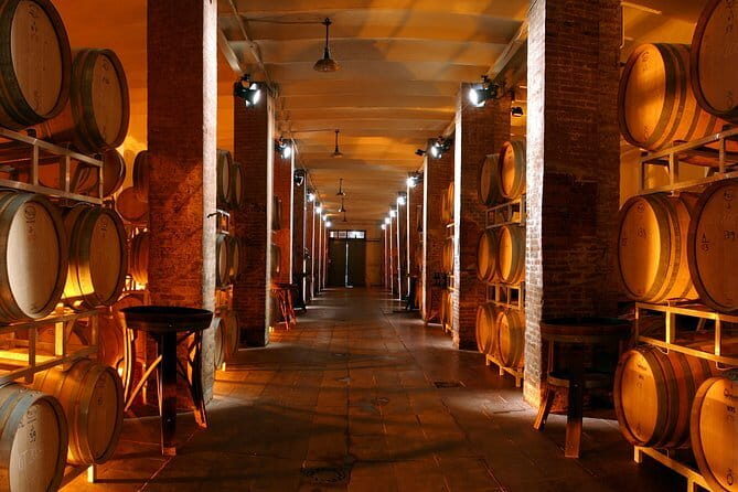 Wine Tour Experience - Who Will Love This Tour?