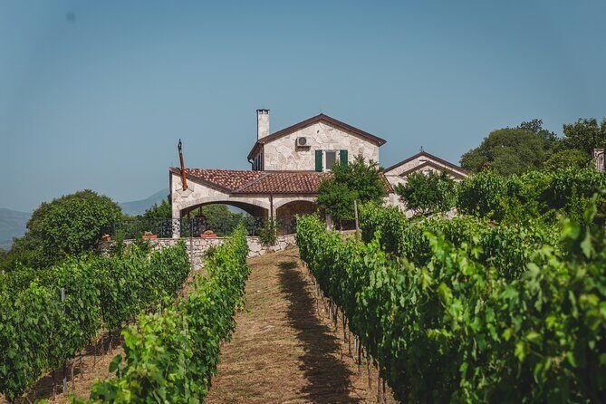 Wine tour- Family winery visit, food tasting & Skadar Lake boat cruise - Key Points