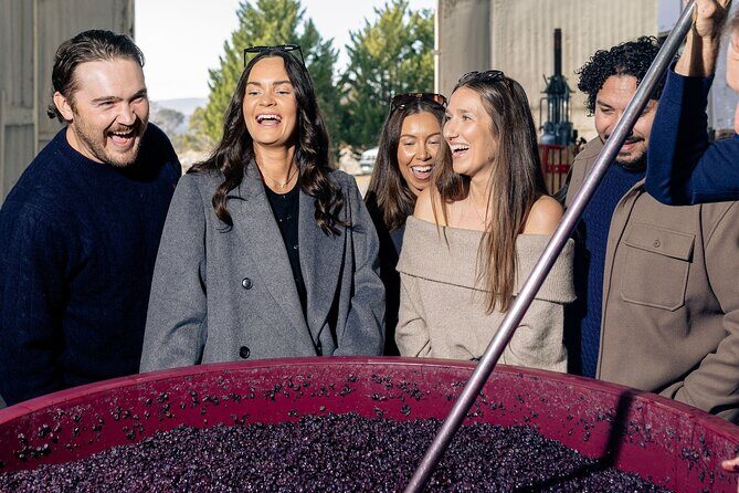 Wine Tour From Canberra to Murrumbateman - Hop on Hop Off - Key Points