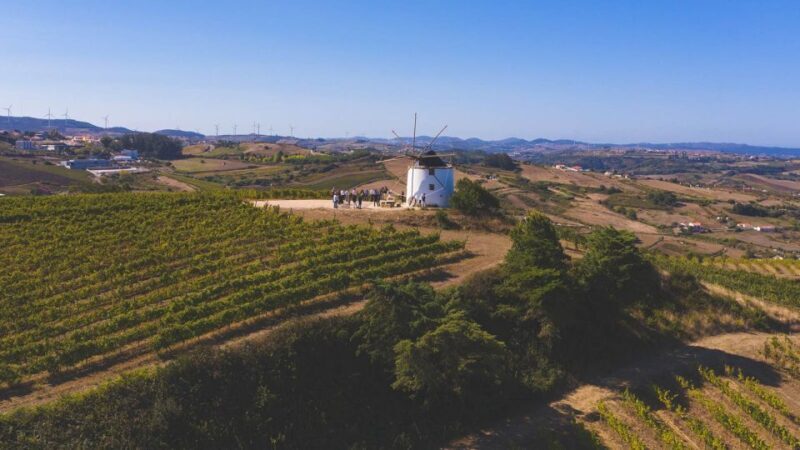 Wine Tour From lisbon with Tastings & Winemaker for a day - Who Will Love This Tour?