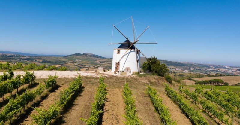 Wine Tour From lisbon with Tastings & Winemaker for a day - Final Thoughts