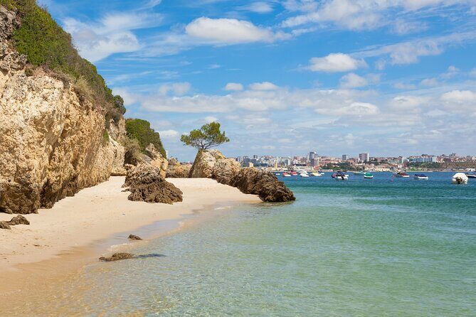Wine Tour in Azeitão and Setúbal with Arrábida Beaches - Key Points