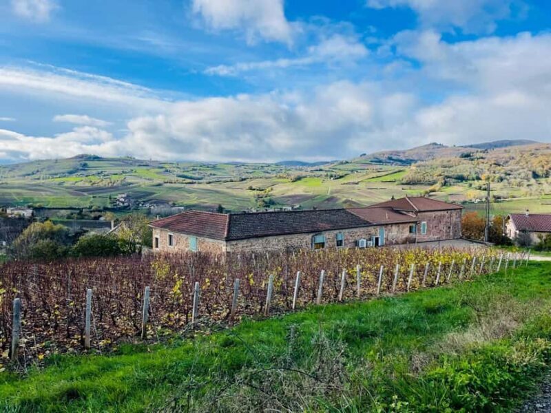 Wine tour in Pouilly Fuissé - Introduction: A Tasting Journey Through Burgundy’s Heart