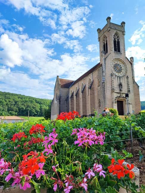 Wine tour in Pouilly Fuissé - Who Will Love This Tour?