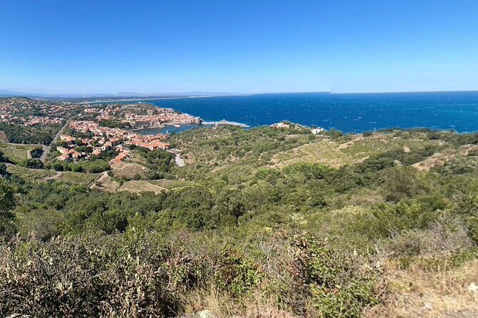 Wine Tour in Roussillon: Picnic & Tasting Day - Discovering Roussillons Wine Heritage: A Day of Tasting, Views, and Gourmet Flavors