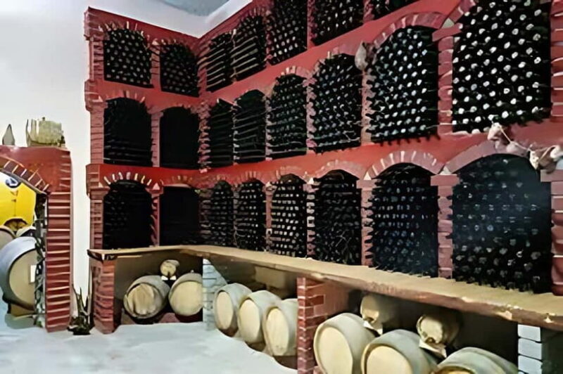 Wine tour in Samarkand (Baguizagan) English - A Closer Look at the Samarkand Wine Tour Experience