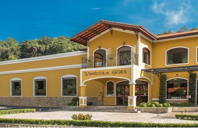 Wine Tour in São Roque by Car, Tour with Local Guides - Key Points