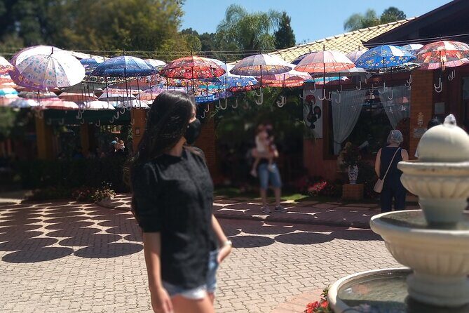 Wine Tour in São Roque by car - tour with local guides - Who Should Consider This Tour?