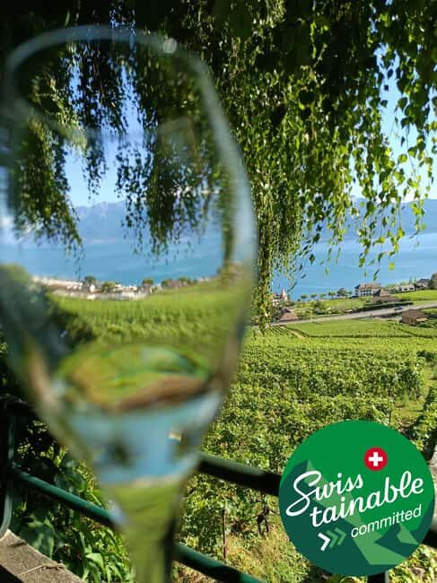 Wine tour in the canton of Vaud - Lavaux vineyards - Key Points