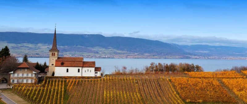 Wine tour in the canton of Vaud - Lavaux vineyards - FAQ