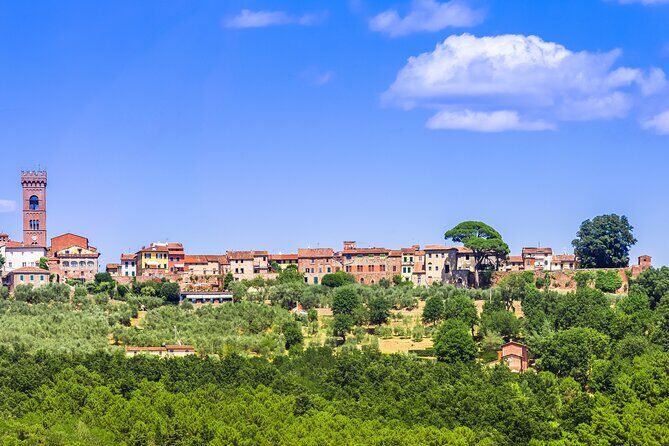 Wine Tour in the Countryside of Lucca with Lunch - with Minivan - A Deep Dive into the Lucca Countryside Wine Tour