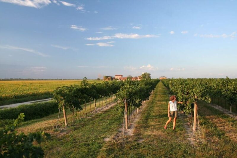 Wine Tour in the Hemingway lands close to Caorle Lagoon - Key Points