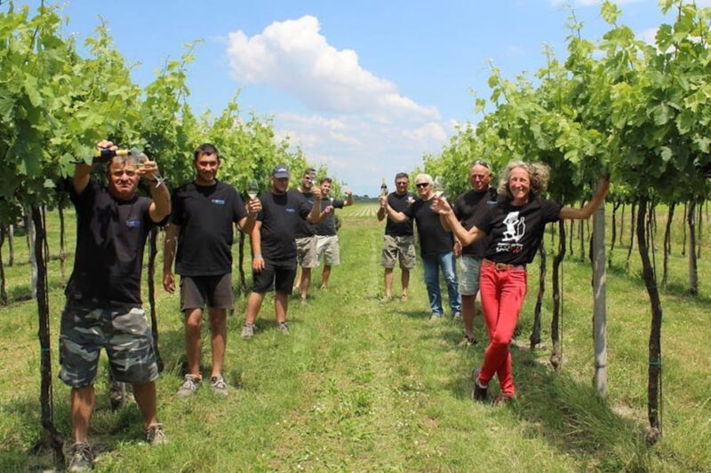 Wine Tour in the Hemingway lands close to Caorle Lagoon - Exploring the Veneto Landscape Through Wine