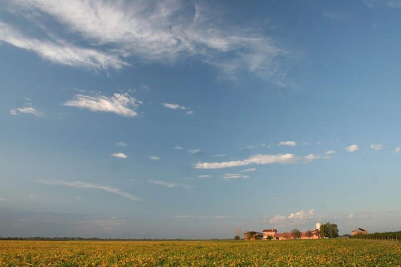 Wine Tour in the Hemingway lands close to Caorle Lagoon - Authenticity and Personal Touch