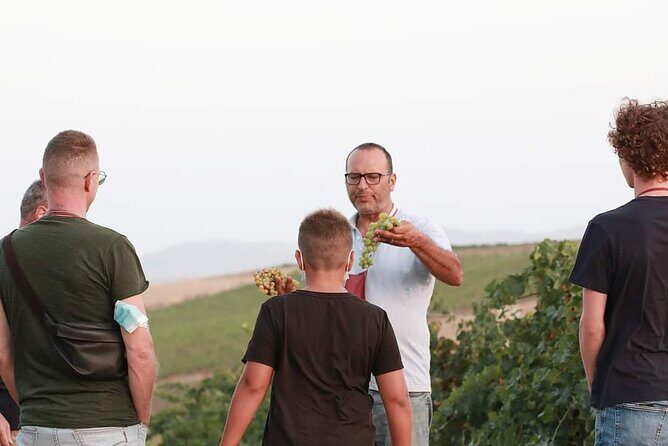 Wine Tour in the historic Baglio Florio Adamo with Lunch - An In-Depth Look at the Sicilian Wine Experience