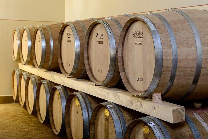 Wine tour in Umbria along the Sagrantino trail with light lunch - Second Stop: Montefalco’s Historic Wineries and Panoramic Views