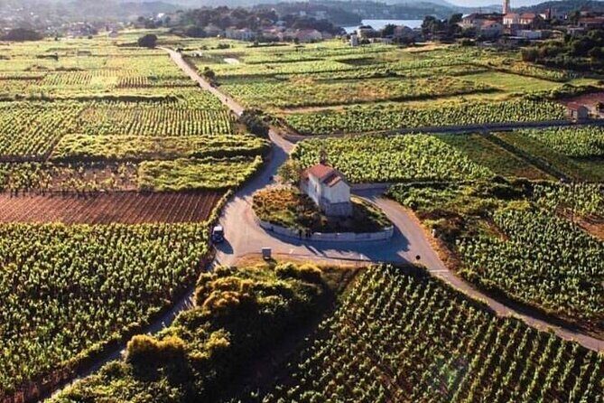 Wine tour Korula - private tour - An In-Depth Look at the Korcula Wine Tour