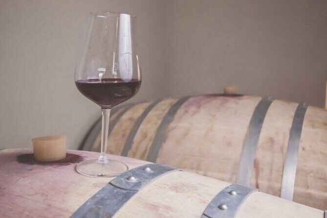 Wine Tour (lunch included) - In-Depth Review of the Amalfi Wine Tour