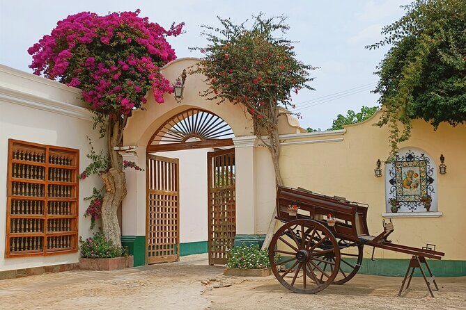 Wine Tour of the Origin, History and Tradition of Pisco - A Practical Look at the Wine Tour of the Origin, History, and Tradition of Pisco in Ica