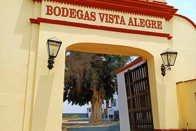 Wine Tour of the Origin, History and Tradition of Pisco - Authenticity and Value