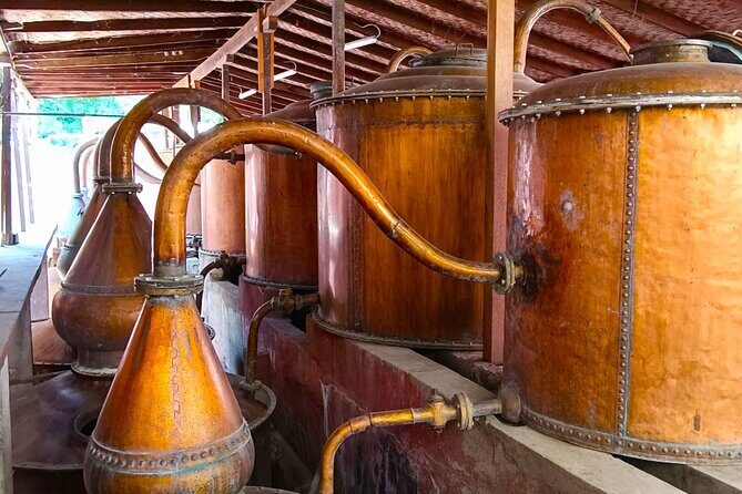 Wine Tour of the Origin, History and Tradition of Pisco - Who Should Book This Tour?