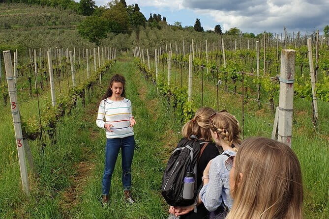 Wine Tour of two Chianti wine estates on the hills of Florence - The Value of the Experience