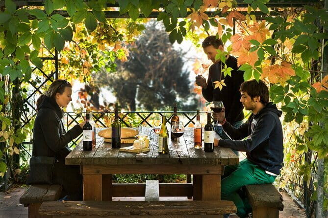 Wine Tour of two Chianti wine estates on the hills of Florence - Practical Details