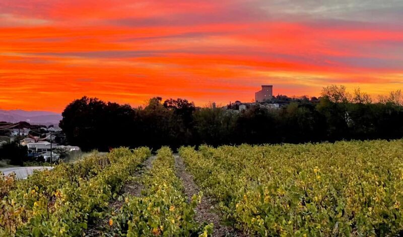 Wine Tour: On the Way to Chateauneuf du Pape - Key Points