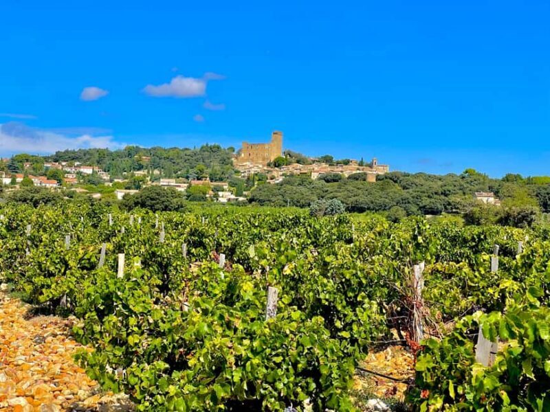 Wine Tour: On the Way to Chateauneuf du Pape - Who Will Love This Tour?