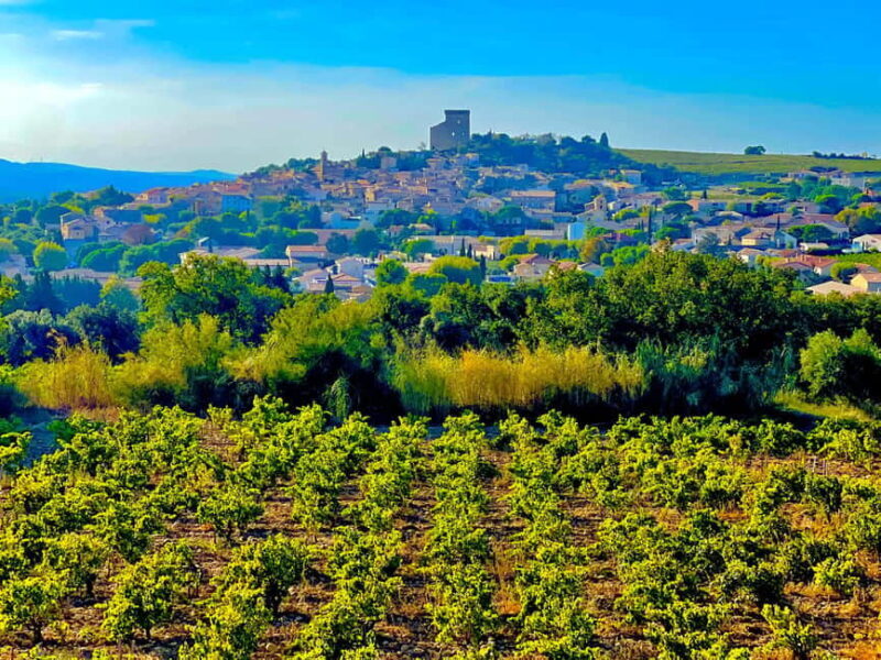 Wine Tour: On the Way to Chateauneuf du Pape - FAQ