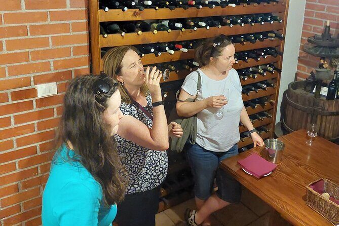 Wine tour Peljesac - Exploring the Vineyards: What to Expect