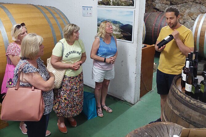 Wine tour Peljesac - Transportation and Group Size