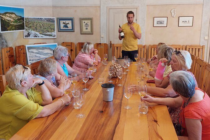 Wine tour Peljesac - Who Should Consider This Tour?