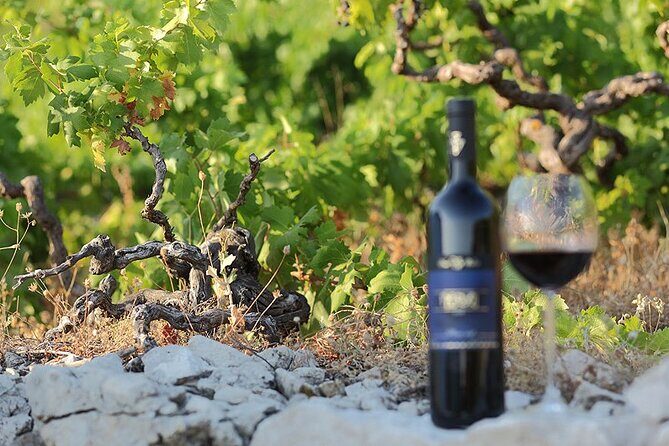 Wine tour Peljesac - Final Thoughts