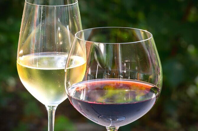 Wine tour peninsula Peljeac - Frequently Asked Questions