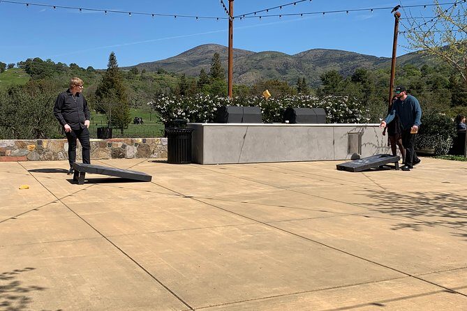 Wine Tour Pros - Napa Valley Wine Tour and Transportation - Who Should Book This Tour?