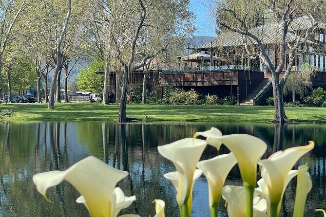 Wine Tour Pros - Sprinter Van Wine Tour: Up To 14 Guests - Frequently Asked Questions