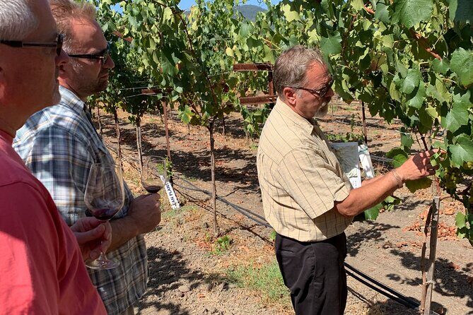Wine Tour Pros - Wine Tour in Napa Valley: SUV For Up To 6 Guests - The Value of a Private Napa Experience