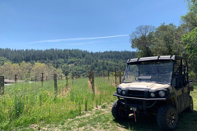 Wine Tour Pros - Wine Tour in Napa Valley: SUV For Up To 6 Guests - FAQ