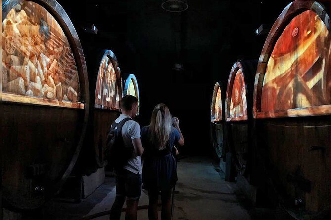 Wine tour, tasting and Alsatian meal - 100% immersive experience - A Deep Dive into the Alsace Wine Tour: Tasting, Tales, and Traditional Flavors